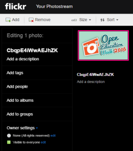 Screenshot shows a thumbnail of the image uploaded to Flickr, and on the left of this the optional information settings that can be added to the image. At the very bottom are the Owner Settings with the Creative Commons licence. 