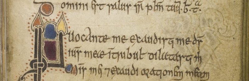 page from the celtic psalter