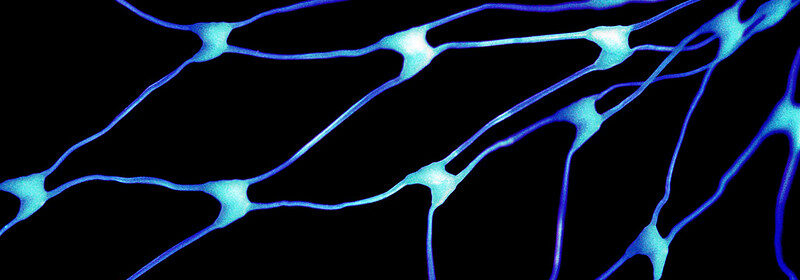 Decorative Blue Web Shape Image