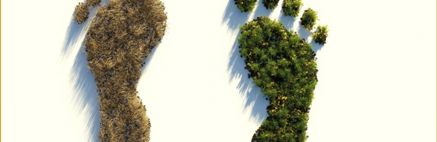Footprints made of grass
