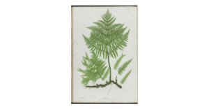 Green ink fern print