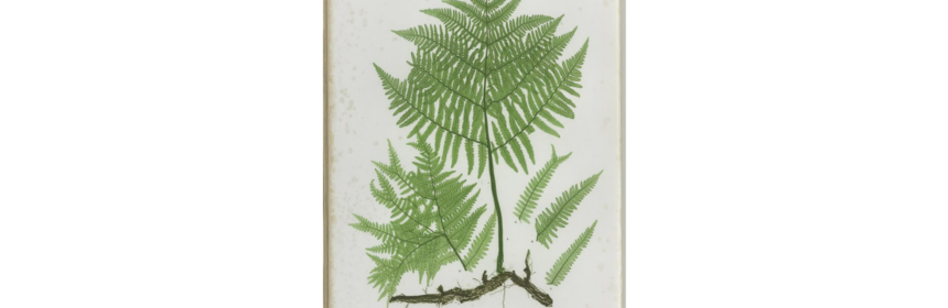 Green ink fern print