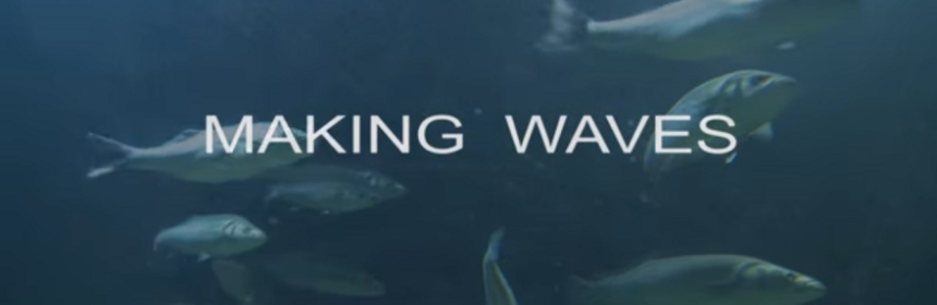 "Making Waves" underwater image of fish swimming