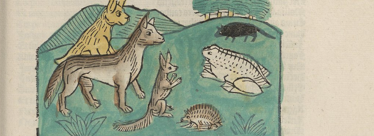 Coloured woodcut illustration of forest animals talking to a large frog