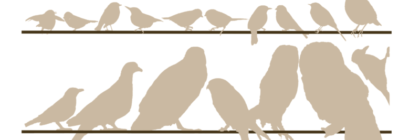 bird silhouettes showing relative size to each other