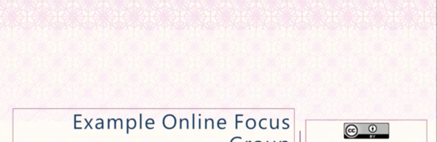 Example online focus group