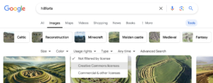 Google image search result with Usage Rights button highlighted.