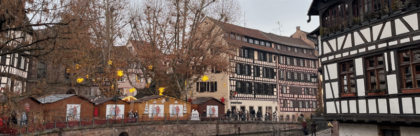 Image of houses in Strasbourg on the side of a canal