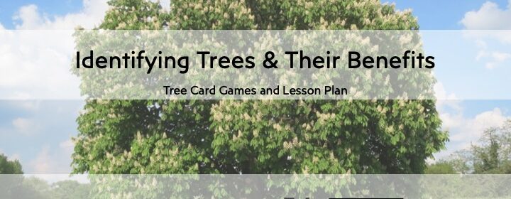 Text "Identifying Trees & Their Benefits" in black, on transparent white band, in the middle with the background of a horse chestnut tree.