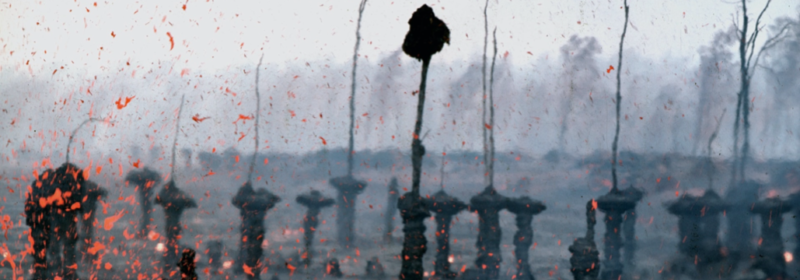 Forest of lava trees resulting from eruption of a 1-km-line of vents east of Pu'u Kahaulea on Hawai'i Island's Kilauea Volcano