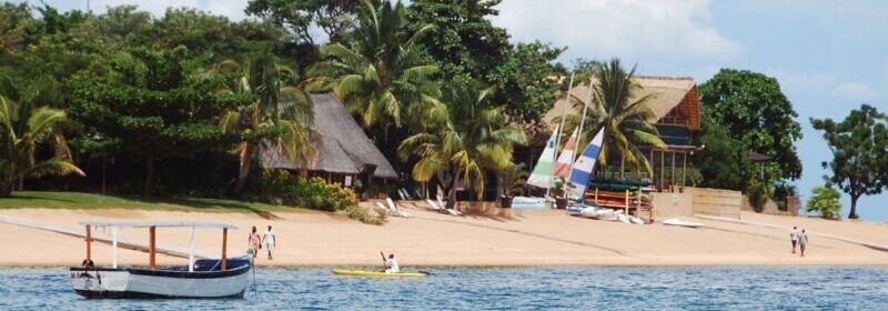 white boat on sea near palm trees during daytime