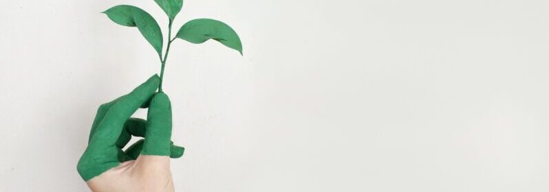 Hand painted half green holding a plant stem with leaves