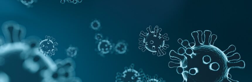 £D graphic visualisation of viruses